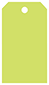 Citrus Green Style A Tag (2 1/4 x 4) 10/Pk