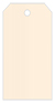 Coral metallic Style A Tag (2 1/4 x 4) 10/Pk