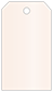 Coral metallic Style A Tag (2 1/4 x 4) 10/Pk