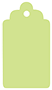 Pistachio Style B Tag 2 1/2 x 4 1/2