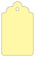 Sugared Lemon Style B Tag (2 1/2 x 4 1/2) 10/Pk