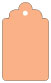 Ginger Style B Tag (2 1/2 x 4 1/2) 10/Pk