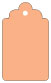 Ginger Style B Tag (2 1/2 x 4 1/2) 10/Pk