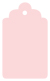 Pink Feather Style B Tag (2 1/2 x 4 1/2) 10/Pk