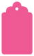 Raspberry Style B Tag (2 1/2 x 4 1/2) 10/Pk