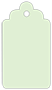 Green Tea Style B Tag (2 1/2 x 4 1/2) 10/Pk