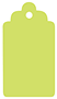 Citrus Green Style B Tag 2 1/2 x 4 1/2