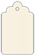 Pearlized Latte Style B Tag (2 1/2 x 4 1/2) 10/Pk