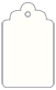 Pearlized White Style B Tag (2 1/2 x 4 1/2) 10/Pk