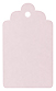 Blush Style B Tag (2 1/2 x 4 1/2) 10/Pk