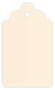 Coral metallic Style B Tag (2 1/2 x 4 1/2) 10/Pk
