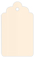 Coral metallic Style B Tag (2 1/2 x 4 1/2) 10/Pk