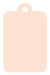Peach Style C Tag (2 1/4 x 3 1/2) 10/Pk
