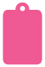 Raspberry Style C Tag (2 1/4 x 3 1/2) 10/Pk