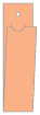 Ginger Style H Tag (1 1/4 x 5 3/4 folded) 10/Pk