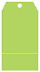 Citrus Green Pocket Tag (3 x 5 1/2) 10/Pk