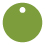Iguana Style R Tag (1 3/4 x 1 3/4) 10/Pk