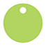 Citrus Green Style R Tag (1 3/4 x 1 3/4) 10/Pk