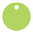 Citrus Green Style R Tag (1 3/4 x 1 3/4) 10/Pk