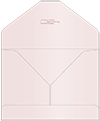 Blush Thick-E-Lope Style A5 (5 1/2 x 7 1/2) 10/Pk