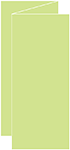 Pistachio Trifold Card 3 5/8 x 8 1/2 - 10/Pk