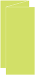 Citrus Green Trifold Card 3 5/8 x 8 1/2 - 10/Pk