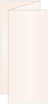 Coral metallic Trifold Card 3 5/8 x 8 1/2 - 10/Pk