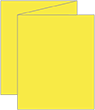Lemon Drop Trifold Card 4 1/4 x 5 1/2
