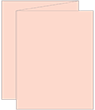 Ginger Trifold Card 4 1/4 x 5 1/2 - 10/Pk