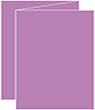 Plum Punch Trifold Card 4 1/4 x 5 1/2