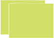 Citrus Green Trifold Card 5 1/2 x 4 1/4