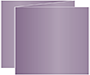 Purple Trifold Card 5 1/2 x 4 1/4 - 10/Pk