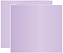 Violet Trifold Card 5 1/2 x 4 1/4 - 10/Pk