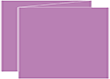 Plum Punch Trifold Card 5 1/2 x 4 1/4