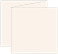 Old Lace Trifold Card 5 3/4 x 5 3/4 - 10/Pk