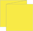 Lemon Drop Trifold Card 5 3/4 x 5 3/4