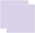 Purple Lace Trifold Card 5 3/4 x 5 3/4 - 10/Pk