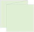 Green Tea Trifold Card 5 3/4 x 5 3/4 - 10/Pk