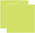 Citrus Green Trifold Card 5 3/4 x 5 3/4 - 10/Pk