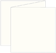 White Gold Trifold Card 5 3/4 x 5 3/4 - 10/Pk