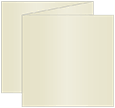 Champagne Trifold Card 5 3/4 x 5 3/4