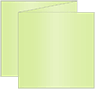 Sour Apple Trifold Card 5 3/4 x 5 3/4 - 10/Pk