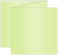 Sour Apple Trifold Card 5 3/4 x 5 3/4 - 10/Pk