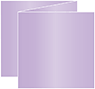 Violet Trifold Card 5 3/4 x 5 3/4 - 10/Pk