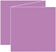 Plum Punch Trifold Card 5 3/4 x 5 3/4