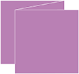 Plum Punch Trifold Card 5 3/4 x 5 3/4 - 10/Pk