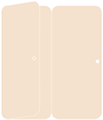 Latte Panel Invitation 3 3/4 x 8 1/2 (folded) - 10/Pk