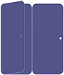 Sapphire Panel Invitation 3 3/4 x 8 1/2 (folded) - 10/Pk